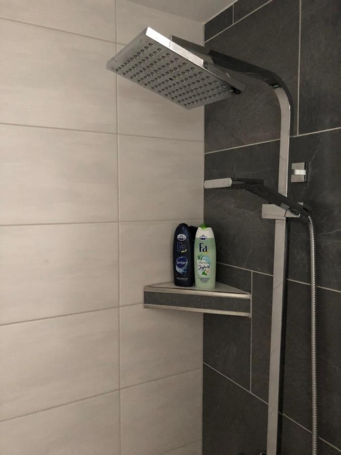 Body Kult Loft - Modernes Appartement Mit 2 Separaten Schlafzimmern Zwickau Dış mekan fotoğraf